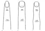 Как узнать характер человека по длинным пальцам на руках